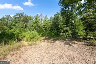 4061 4063 4065 Historic Old Hwy 441, Clarkesville, GA 30523 - Photo 101