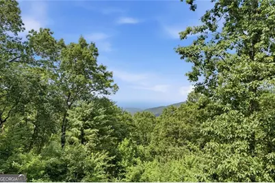539 Dowel Circle, Ellijay, GA 30540 - Photo 23