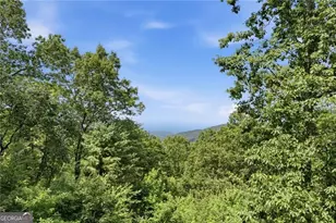 539 Dowel Circle, Ellijay, GA 30540 - Photo 23
