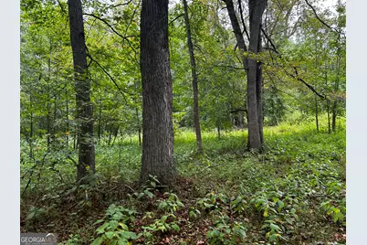211 Toney Road, Commerce, GA 30529 - Photo 21