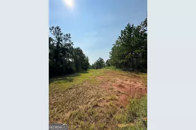4066 Green Grove Road, Lumpkin, GA 31815 - Photo 9