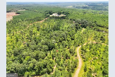 4066 Green Grove Road, Lumpkin, GA 31815 - Photo 37