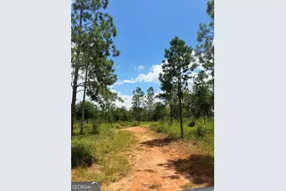 4066 Green Grove Road, Lumpkin, GA 31815 - Photo 21