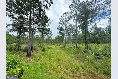 4066 Green Grove Road, Lumpkin, GA 31815 - Photo 23