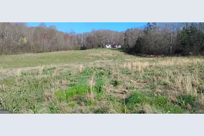 2331 Kesler Road, Carnesville, GA 30521 - Photo 3