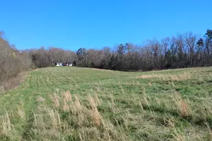 2331 Kesler Rd, Carnesville, GA 30521 - Photo 1