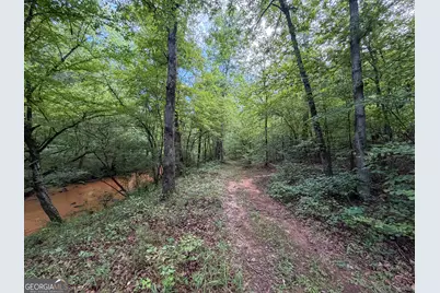 1503 McDonald Road, Covington, GA 30014 - Photo 5