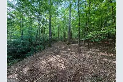 1503 McDonald Road, Covington, GA 30014 - Photo 33