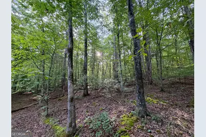 1503 McDonald Road, Covington, GA 30014 - Photo 29