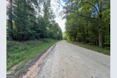 1503 McDonald Road, Covington, GA 30014 - Photo 35