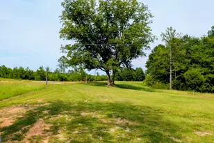 9245 US Hwy 80 W, Roberta, GA 31078 - Photo 3