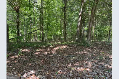Tract 1A Chalcrest Way, Cave Spring, GA 30124 - Photo 11