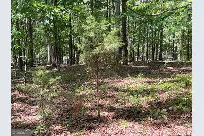 Tract 1A Chalcrest Way, Cave Spring, GA 30124 - Photo 15