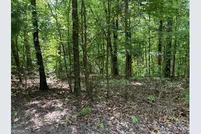 Tract 1A Chalcrest Way, Cave Spring, GA 30124 - Photo 7