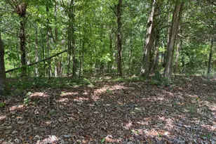 Tract 1A Chalcrest Way, Cave Spring, GA 30124 - Photo 1
