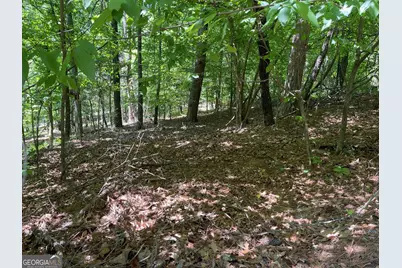 Tract 1A Chalcrest Way, Cave Spring, GA 30124 - Photo 5