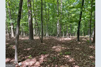 Tract 1A Chalcrest Way, Cave Spring, GA 30124 - Photo 3