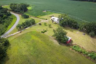1814 Antioch Greggs Rd, Adel, GA 31620 - Photo 37