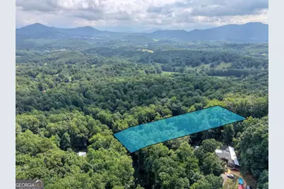 8223 True Love Mountain Road, Young Harris, GA 30582 - Photo 27
