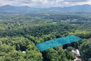 8223 True Love Mountain Rd, Young Harris, GA 30582 - Photo 27