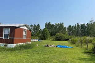 144 Red River Ln, Alma, GA 31510 - Photo 5