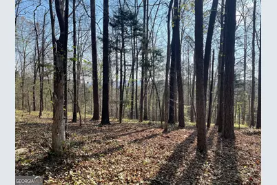 Tract 1B Chalcrest Way, Cave Spring, GA 30124 - Photo 1