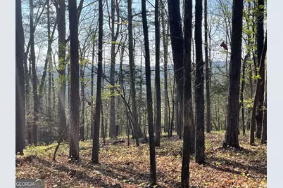Tract 1B Chalcrest Way, Cave Spring, GA 30124 - Photo 3