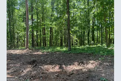 Tract 1B Chalcrest Way, Cave Spring, GA 30124 - Photo 15