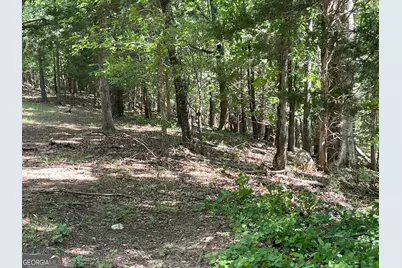 Tract 1B Chalcrest Way, Cave Spring, GA 30124 - Photo 11