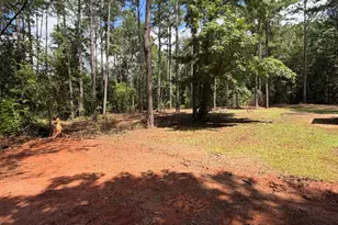 335 Harvey Cir, Ellaville, GA 31806 - Photo 21