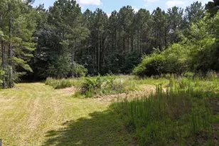 3729 Duncan Bridge Rd, Cornelia, GA 30531 - Photo 51