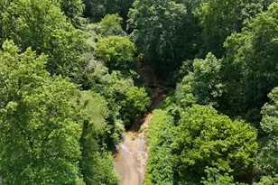 3729 Duncan Bridge Rd, Cornelia, GA 30531 - Photo 55