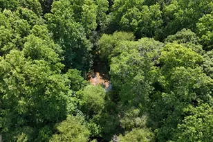 3729 Duncan Bridge Rd, Cornelia, GA 30531 - Photo 45
