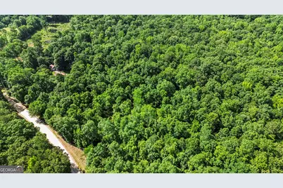 355 Chuli Road, Locust Grove, GA 30248 - Photo 5
