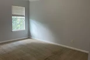 11053 Aliyah Dr, Hampton, GA 30228 - Photo 35