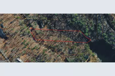 0 White Pine Creek, Demorest, GA 30535 - Photo 3