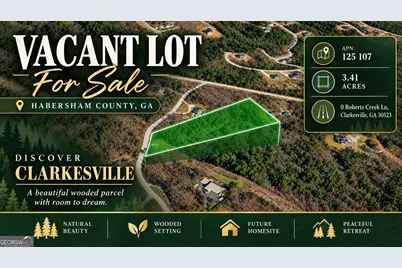0 Roberts Creek Lane, Clarkesville, GA 30523 - Photo 1