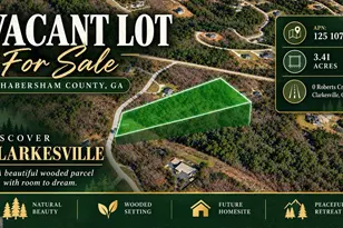 0 Roberts Creek Ln, Clarkesville, GA 30523 - Photo 1
