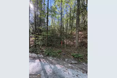 0 Western Way, Rabun Gap, GA 30568 - Photo 5