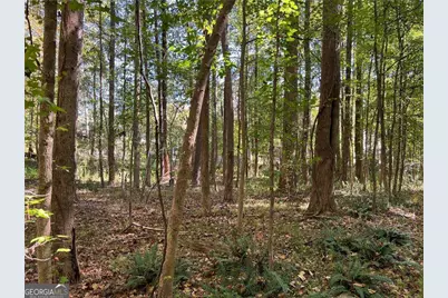 5334 Pounds Drive N, Stone Mountain, GA 30087 - Photo 5