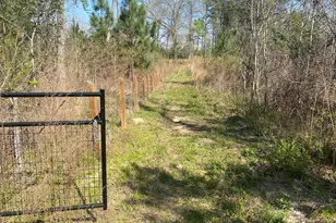 1229 Pierce Rd, Waverly Hall, GA 31831 - Photo 33