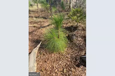 1229 Pierce Rd, Waverly Hall, GA 31831 - Photo 31