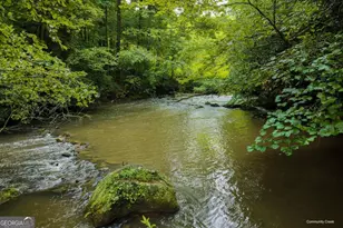 196 Creek Camp Rd, Ellijay, GA 30536 - Photo 39