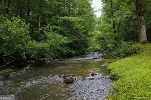 196 Creek Camp Rd, Ellijay, GA 30536 - Photo 41