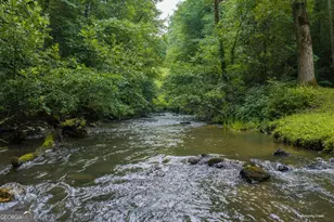 196 Creek Camp Rd, Ellijay, GA 30536 - Photo 43