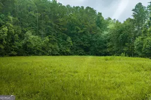 196 Creek Camp Rd, Ellijay, GA 30536 - Photo 53