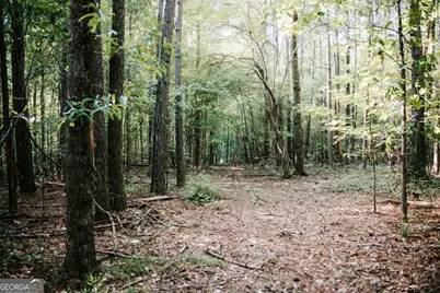 50 Bob White Road, Colbert, GA 30628 - Photo 17