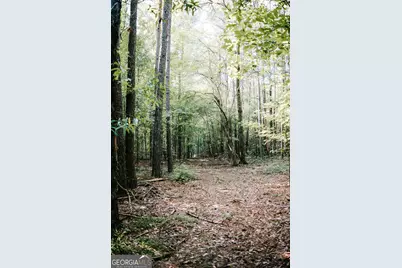 50 Bob White Road, Colbert, GA 30628 - Photo 19