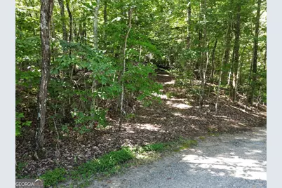 0 Bald Eagle Path, Cleveland, GA 30528 - Photo 11