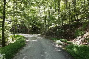 0 Bald Eagle Path, Cleveland, GA 30528 - Photo 1